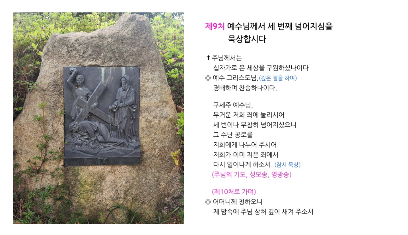 십자가의 길 9처.jpg