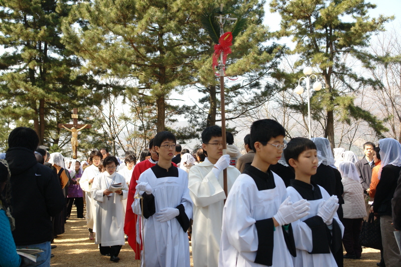 20080316성지주일DSC01773.JPG