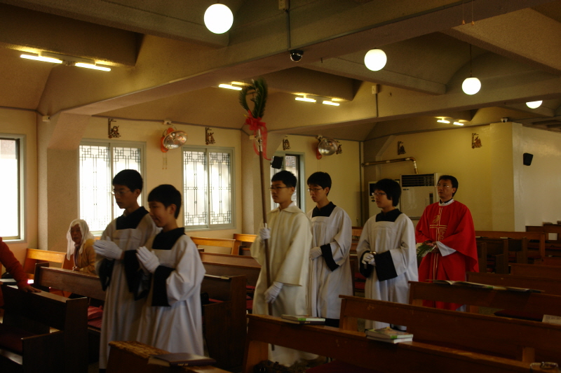 20080316성지주일DSC01777.JPG