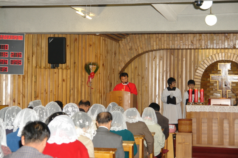 20080316성지주일DSC01784.JPG