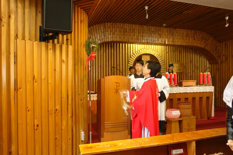 20080316성지주일DSC01780.JPG