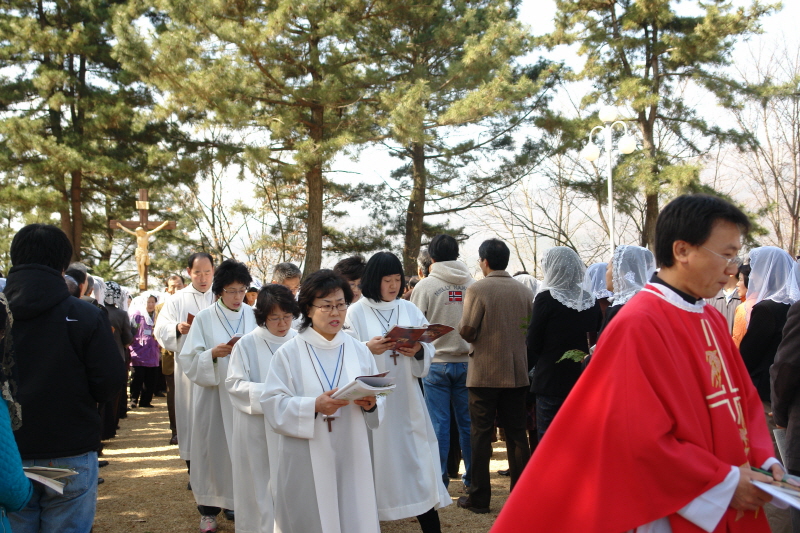 20080316성지주일DSC01775.JPG