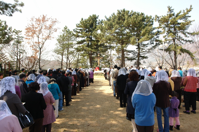 20080316성지주일DSC01767.JPG