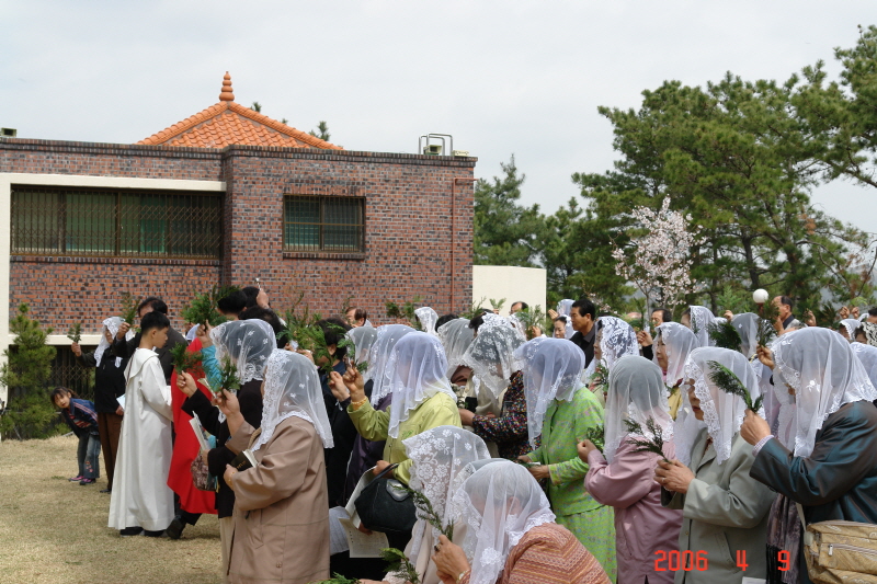 20060409성지주일 (7).JPG