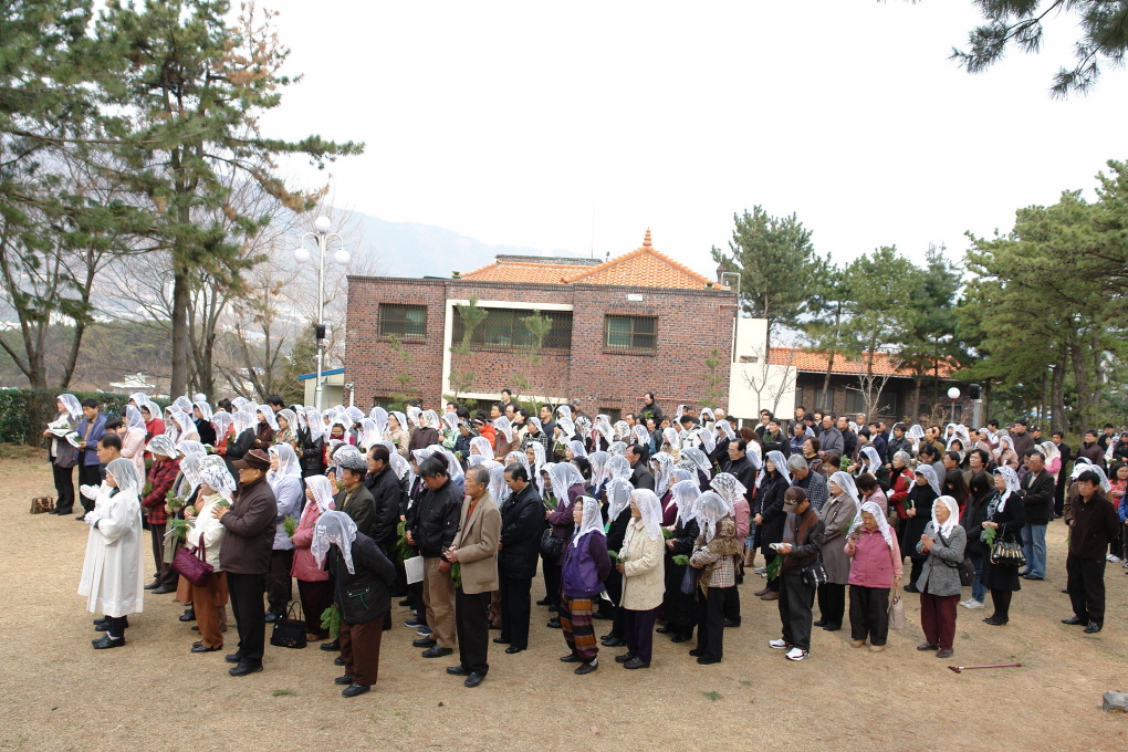 100328성지주일 (3).JPG