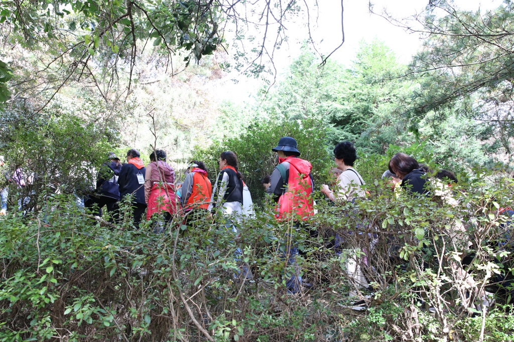 20241020본당의날 (19).jpg