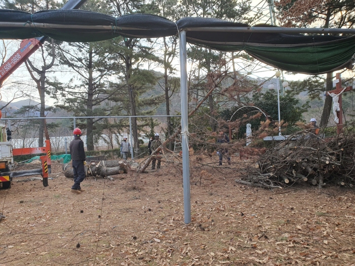 150516-120220122시설분과 나무자르기 (3).jpg