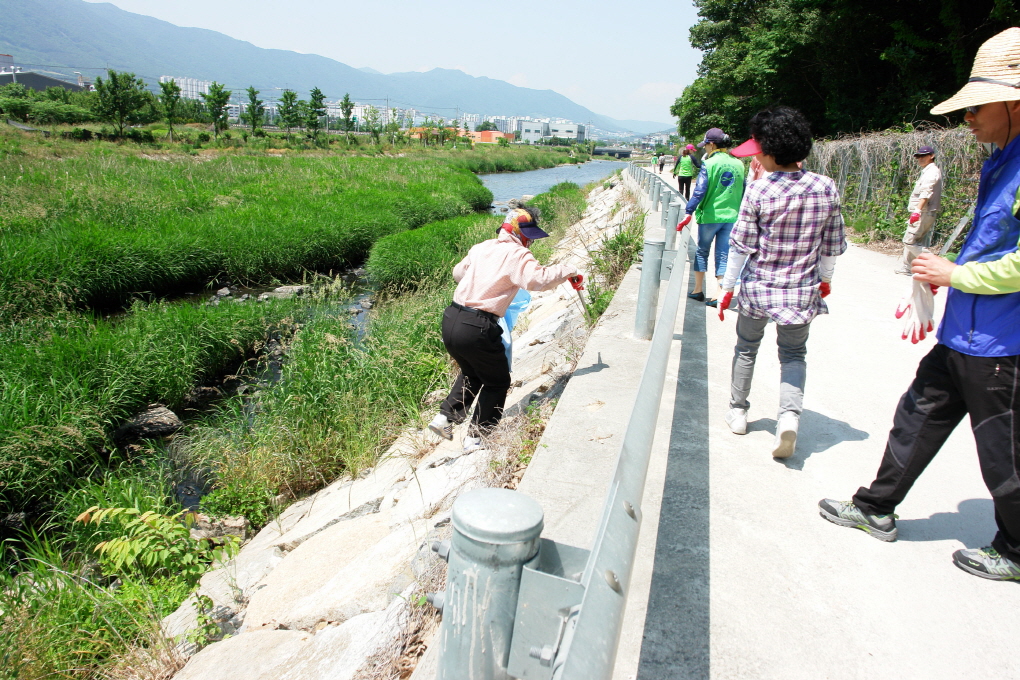 환경미화 (42).JPG