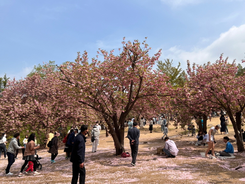 150516-1엠마오스-경주 (1).jpg