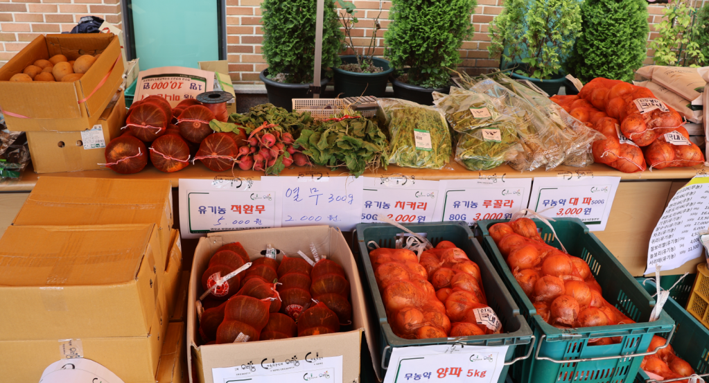 화면 캡처 2024-07-25 150203.png