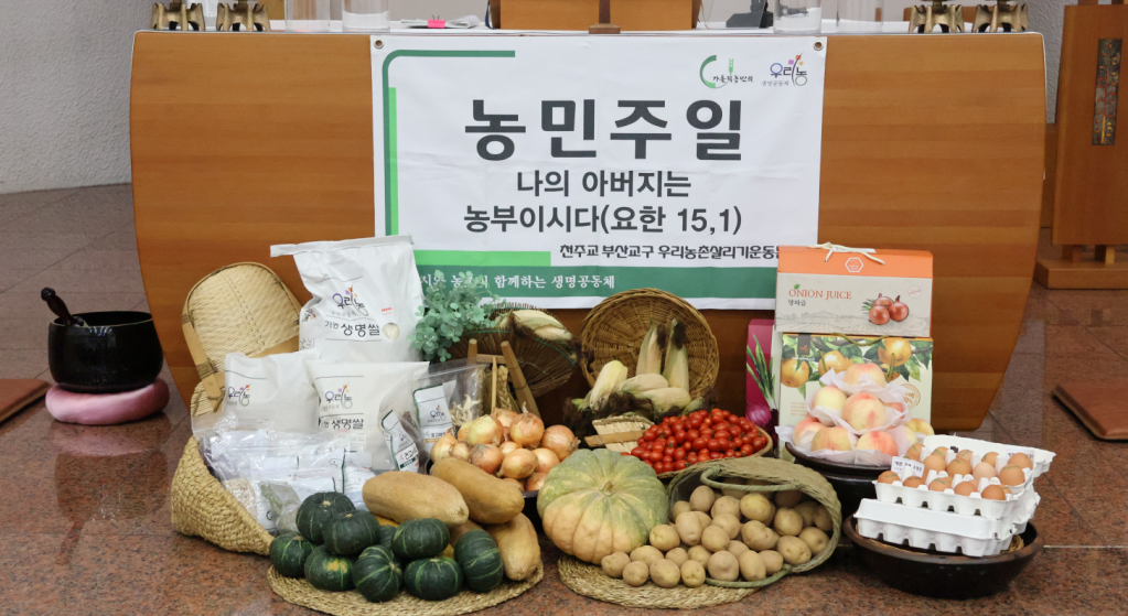 화면 캡처 2024-07-25 150611.png