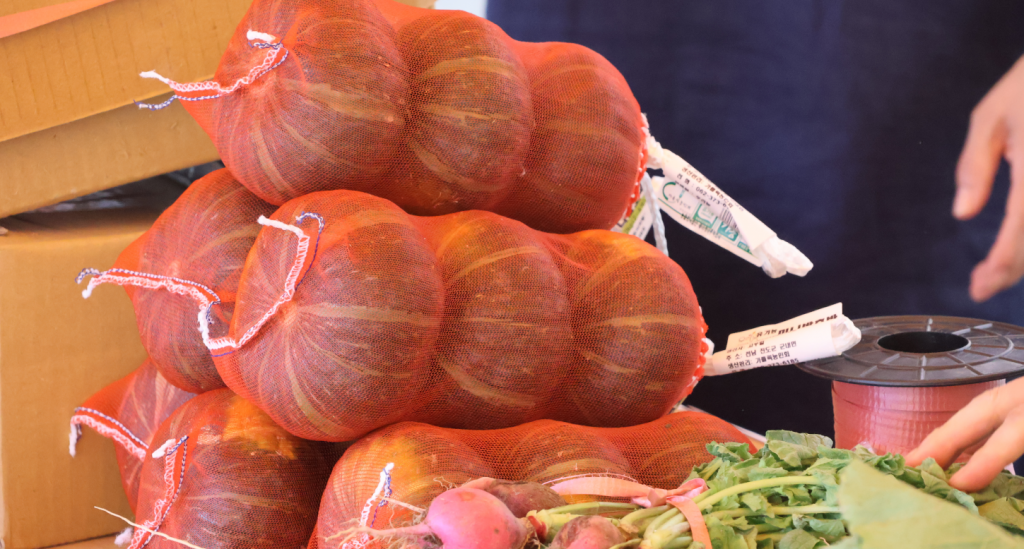 화면 캡처 2024-07-25 152141.png