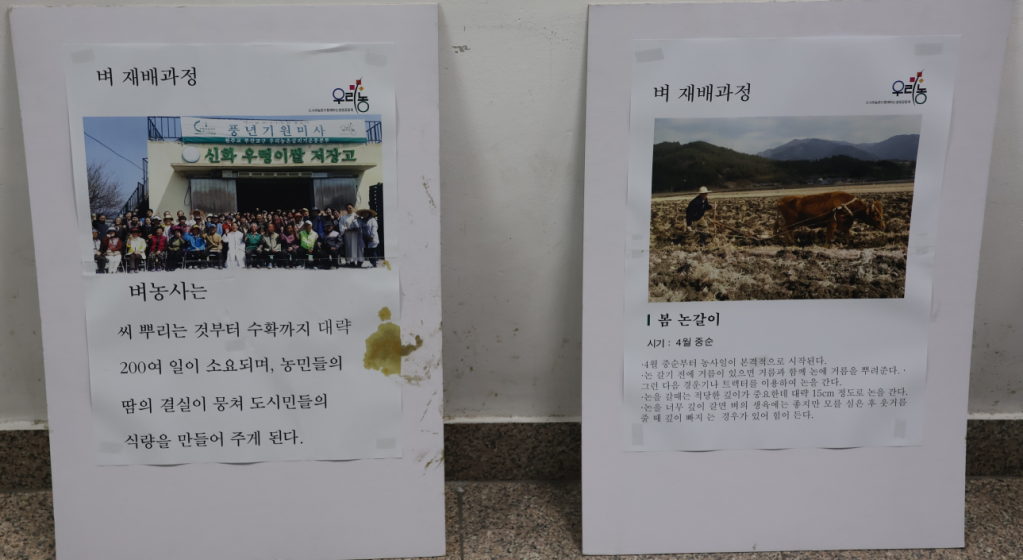 화면 캡처 2024-07-25 151338.png