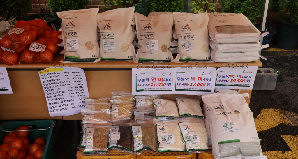 화면 캡처 2024-07-25 150331.png