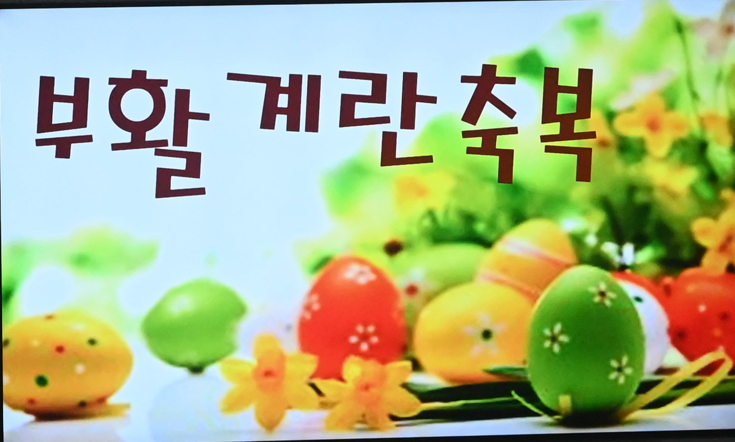 2025년 4월19일-부활성야미사계란축복.JPG