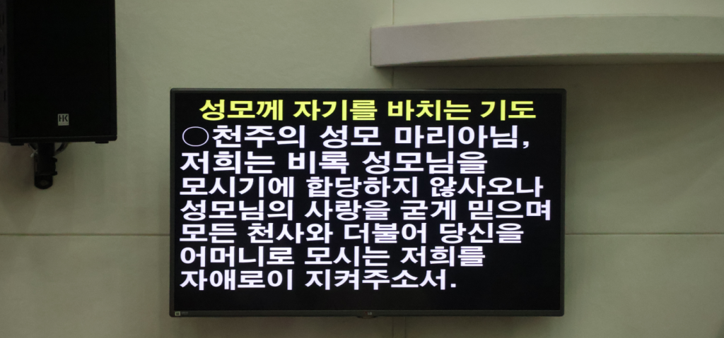 화면 캡처 2024-06-01 221901.png