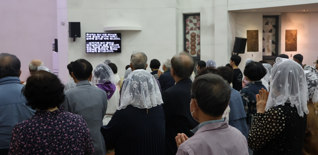 화면 캡처 2024-06-01 221927.png