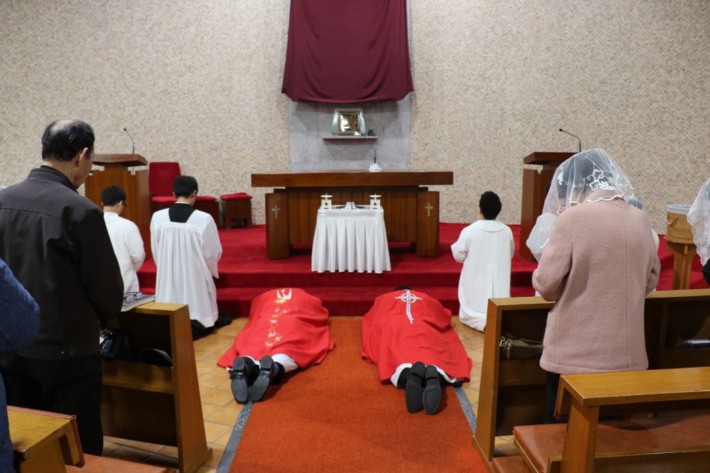 2017-04-14  20-01-53주님수난성금요일_전하_001.JPG