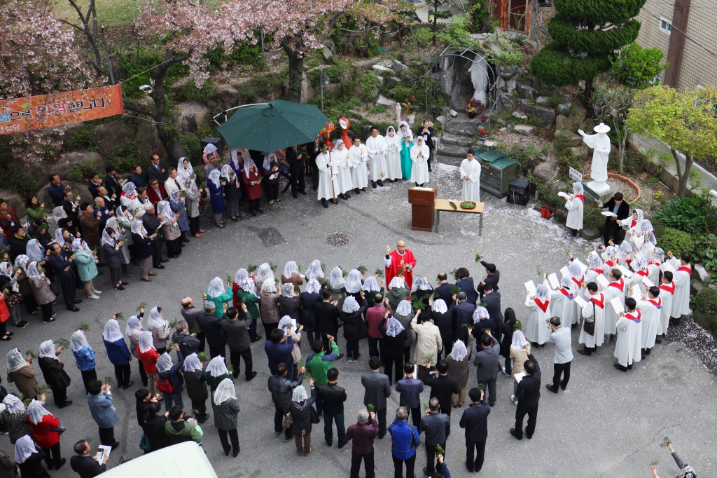 2017-04-09 11-14-07주님수난성지주일_사직대건_002.jpg