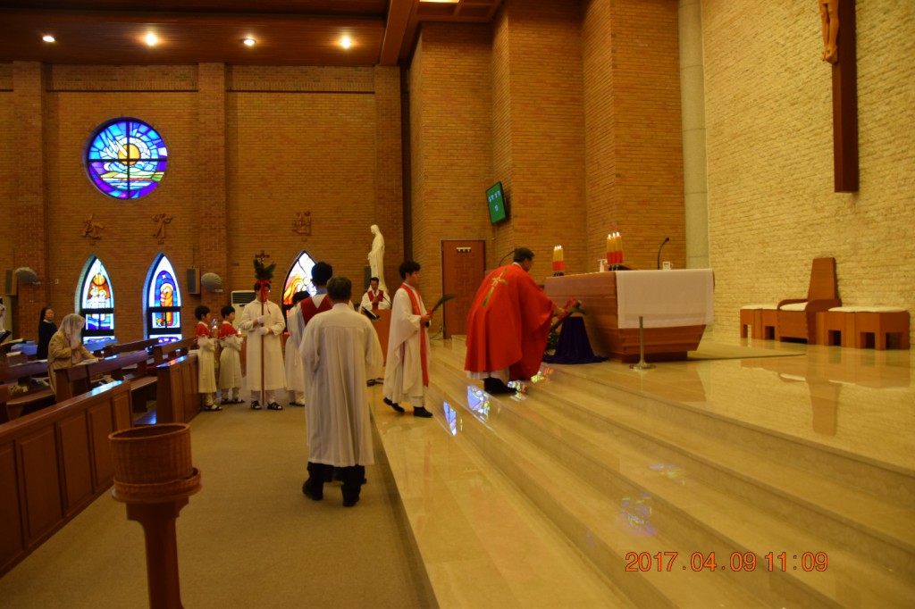 2017-04-09  11-09-53주님수난성지주일_임호_016.JPG