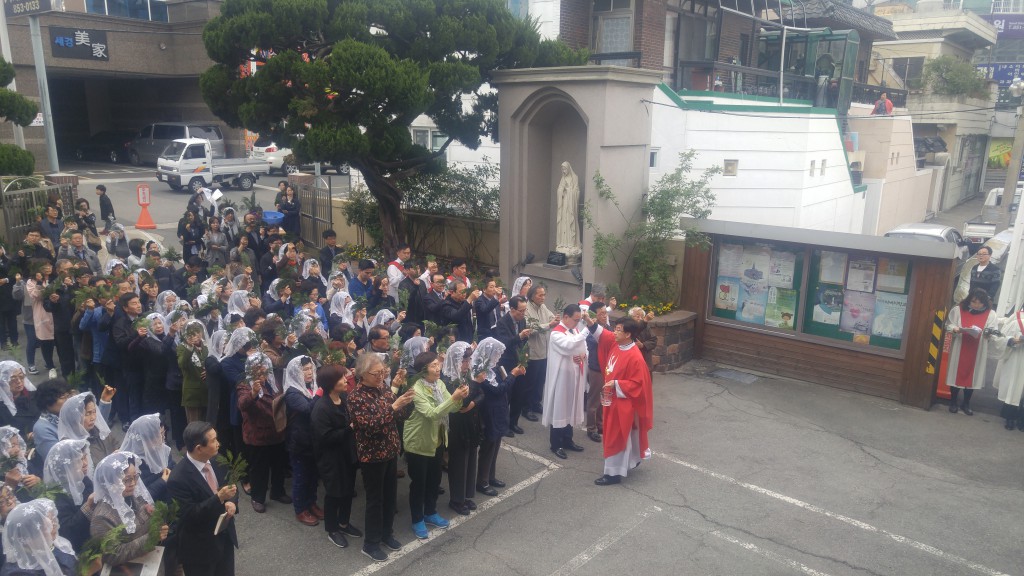 2017-04-09 11-05-01주님수난성지주일_거제동_007.jpg