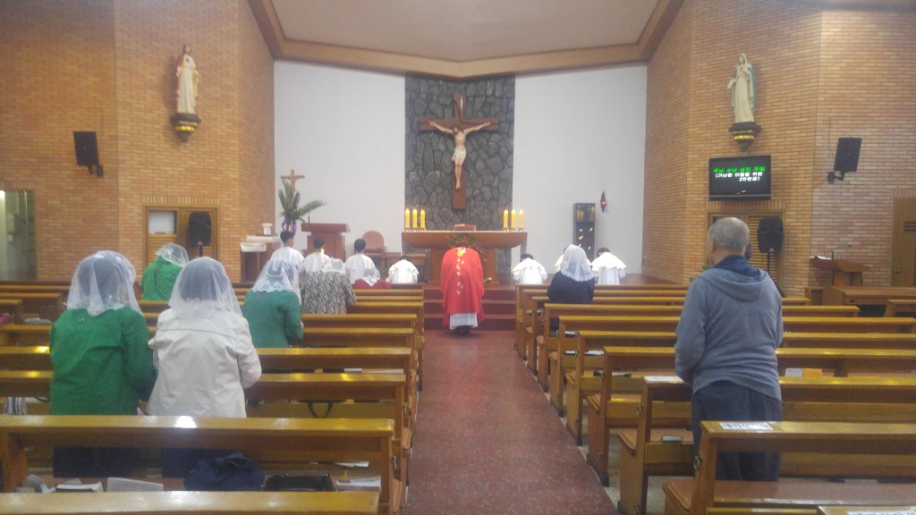 2017-04-09 11-09-30주님수난성지주일_거제동_014.jpg