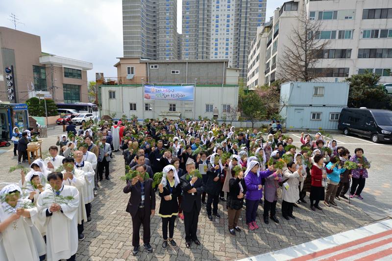 2017-04-09  10-52-34주님수난성지주일_야음_003.jpg