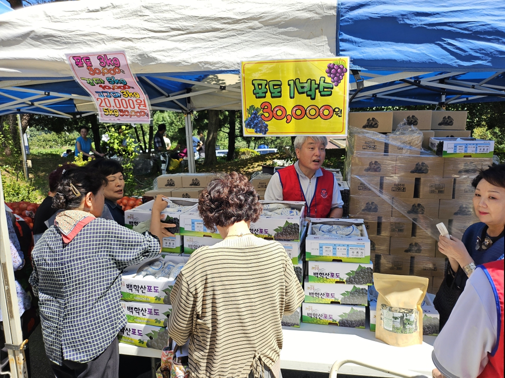 20240831떼꼴로레스나눔바자회010.jpg