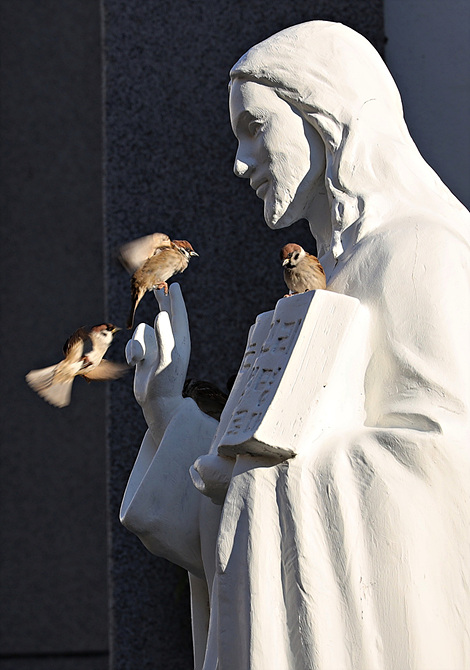 4L7A9970--1 fin-co2.jpg