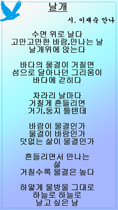 02  날개 선 2.jpg