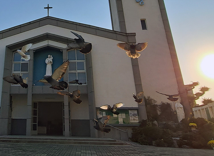 ㅎ 성전 정면 03.jpg