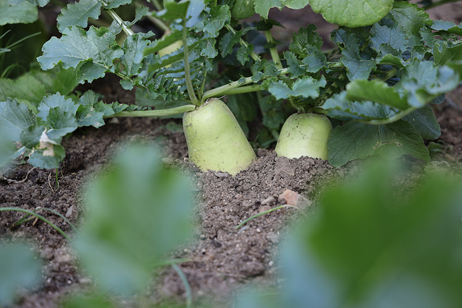 20211120_083920--1z 4L7A8070.jpg