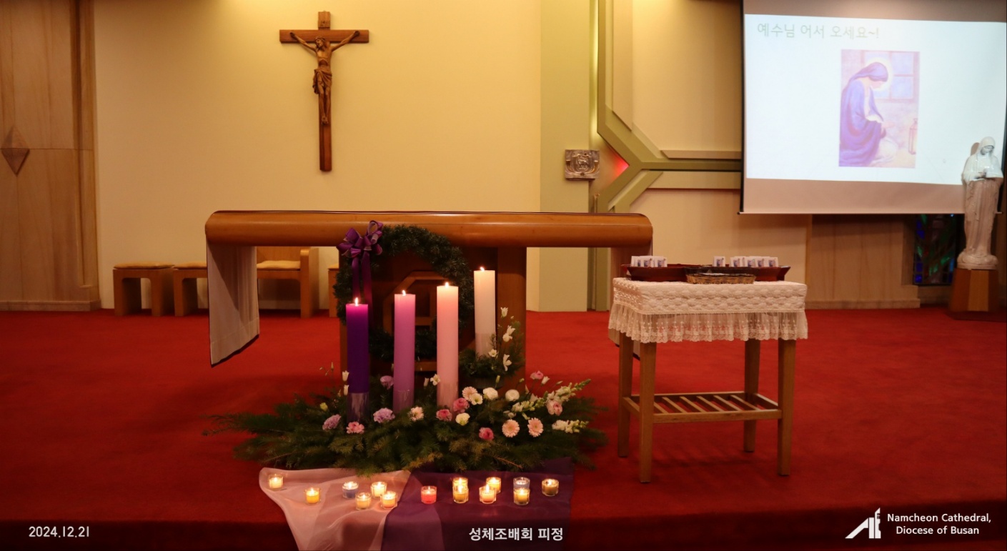 1735010507962-4.jpg