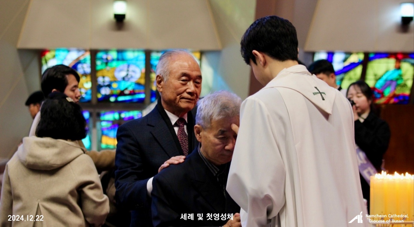 1735370443772-5.jpg