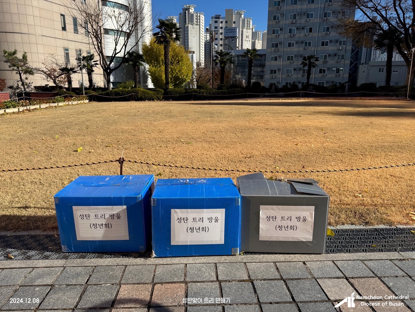 1733731246568-4.jpg