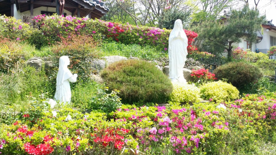vA4DCWno_1430553068_KakaoTalk_20150426_193142354[1].jpg