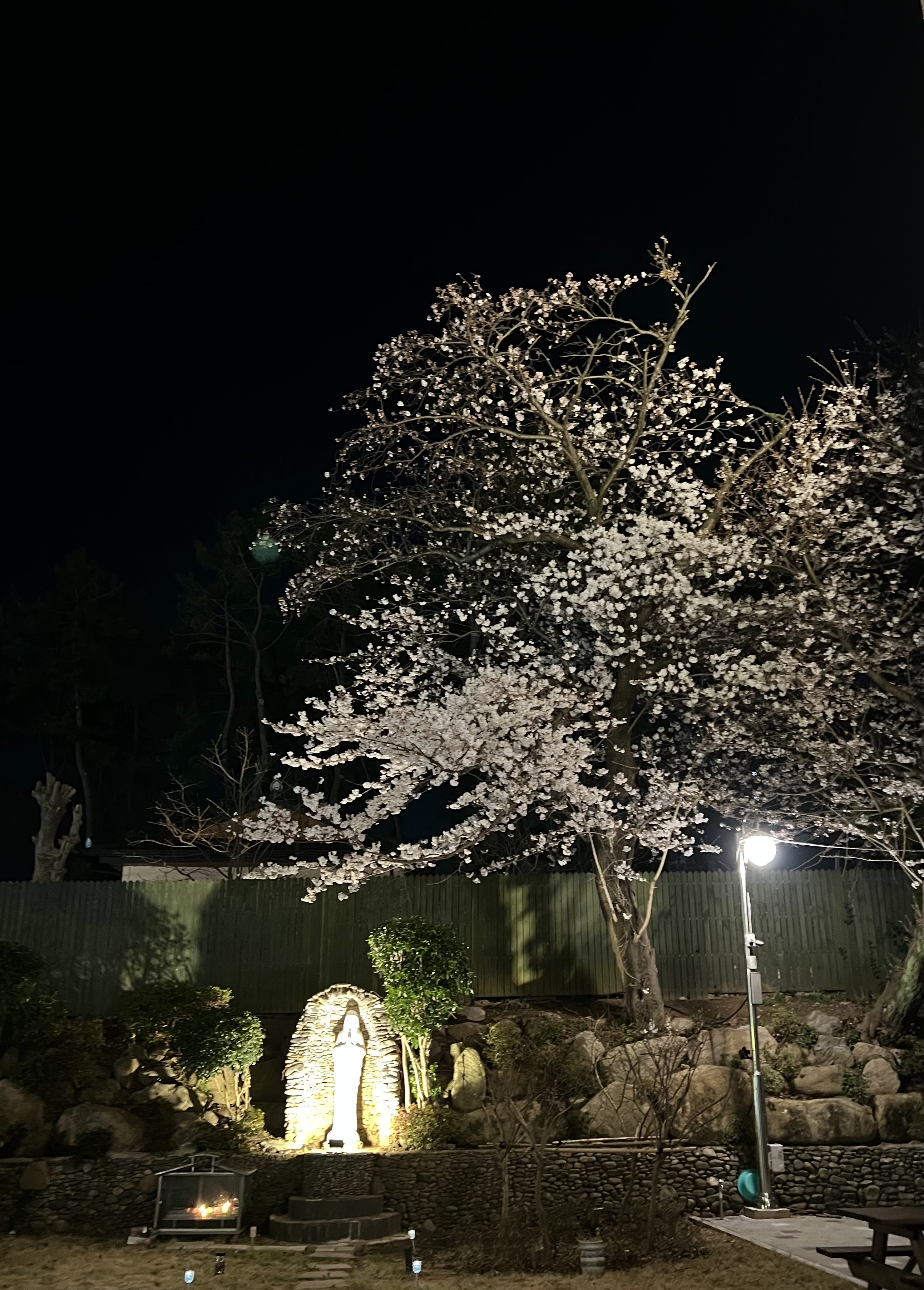 KakaoTalk_20230328_154947790_03 (1).jpg