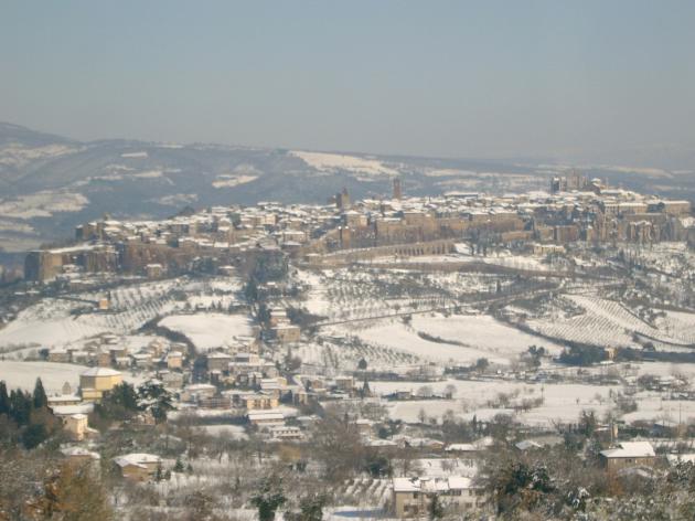 169-SV400097 Resized.JPG