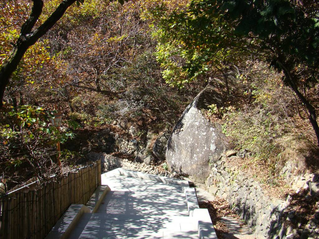 136-5 201005031551166242.jpg