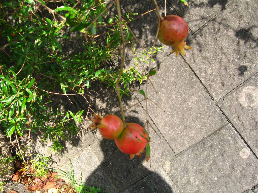 188-8 201010270315021877.jpg