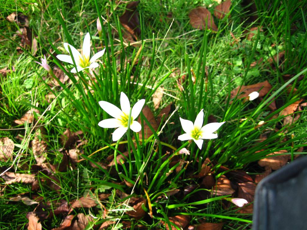 188-13 201010270333078299.jpg