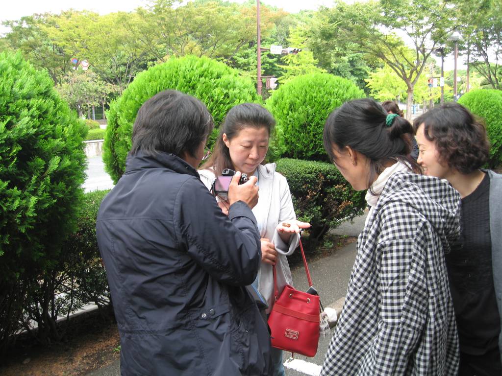 184-16 201010262253533216.jpg