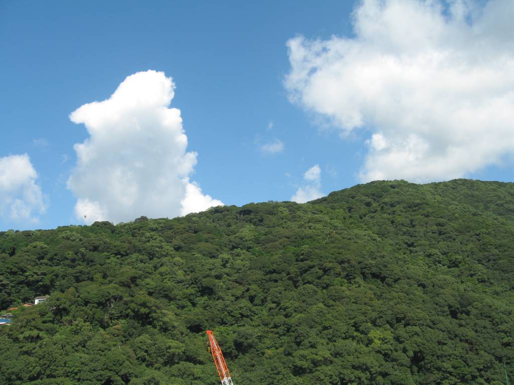 186-10 201010270050442529.jpg