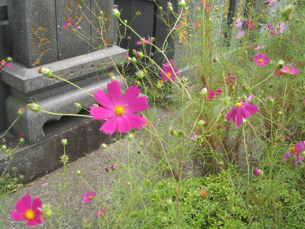 189-12 201010270404513481.jpg