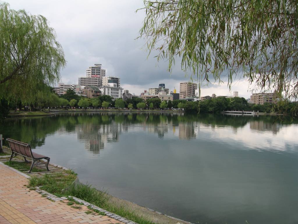 184-11 201010262248510248.jpg