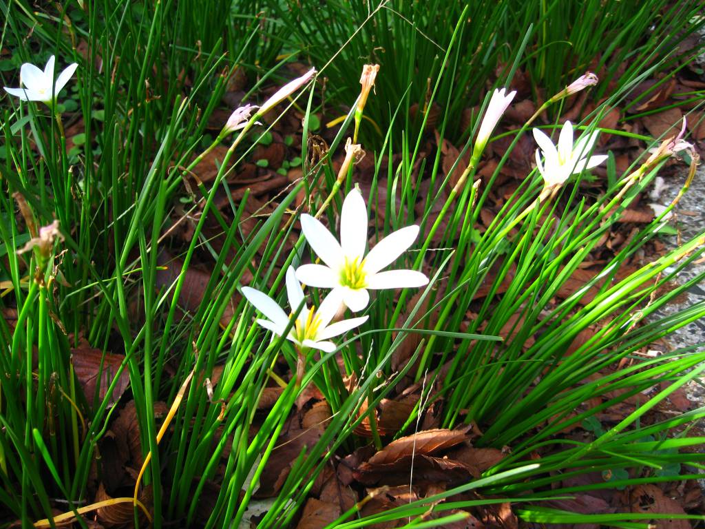 188-12 201010270331503432.jpg