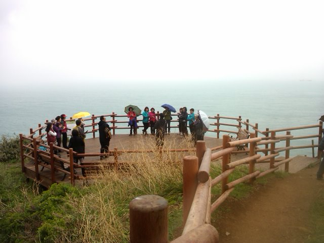 203-3 201104291049544148.jpg