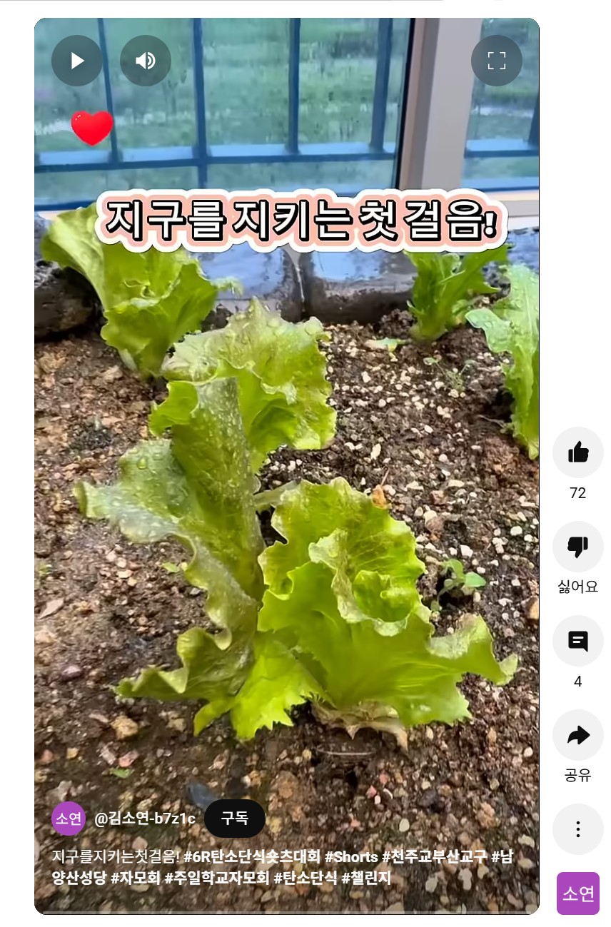 6R 탄소단식 숏츠 07.jpg