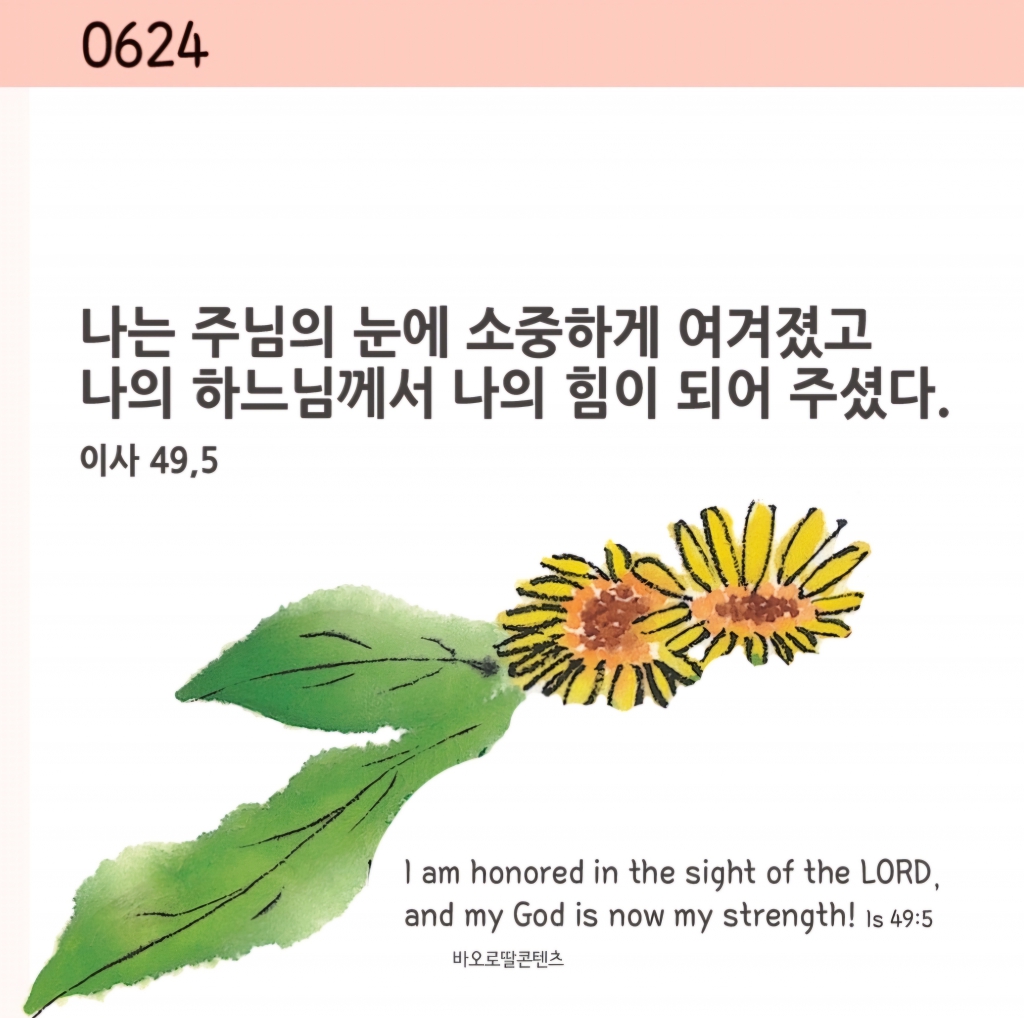 Screenshot_20240624_091153_NAVER.jpg
