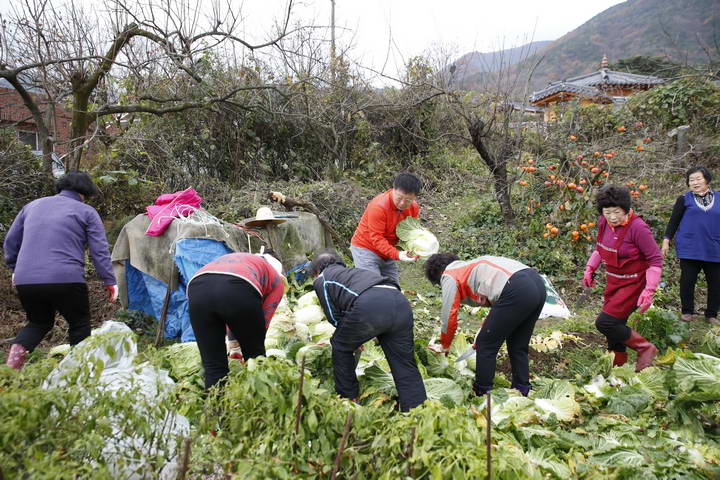 모라성요한성당김장만들기 (1)_resize.JPG